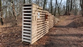 Pałac w Radojewie połączony osią widokową z pałacem w Owińskach - zdjęcie 5