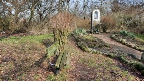 Pałac w Radojewie połączony osią widokową z pałacem w Owińskach - zdjęcie 6