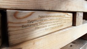 Pałac w Radojewie połączony osią widokową z pałacem w Owińskach - zdjęcie 8