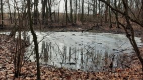 Pałac w Radojewie połączony osią widokową z pałacem w Owińskach - zdjęcie 9