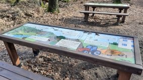 Pałac w Radojewie połączony osią widokową z pałacem w Owińskach - zdjęcie 10