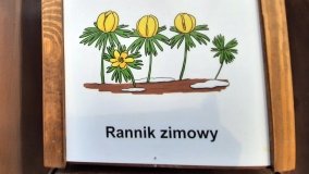 Pałac w Radojewie połączony osią widokową z pałacem w Owińskach - zdjęcie 11