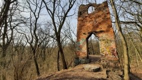 Pałac w Radojewie połączony osią widokową z pałacem w Owińskach - zdjęcie 14