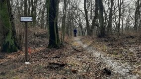 Pałac w Radojewie połączony osią widokową z pałacem w Owińskach - zdjęcie 18