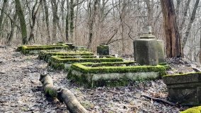 Pałac w Radojewie połączony osią widokową z pałacem w Owińskach - zdjęcie 19