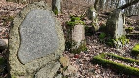 Pałac w Radojewie połączony osią widokową z pałacem w Owińskach - zdjęcie 20