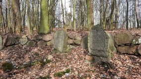 Pałac w Radojewie połączony osią widokową z pałacem w Owińskach - zdjęcie 22