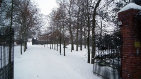 Aleja Turzyńska i dwór z muzeum - zdjęcie 2