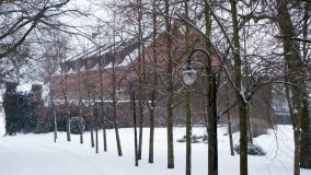 Aleja Turzyńska i dwór z muzeum - zdjęcie 3