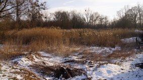 Pałac Józefa Leclercq’a w Sukowach - zdjęcie 4