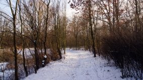 Pałac Józefa Leclercq’a w Sukowach - zdjęcie 11