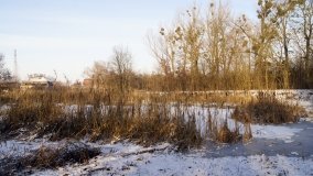 Pałac Józefa Leclercq’a w Sukowach - zdjęcie 13