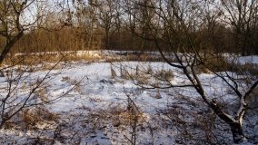 Pałac Józefa Leclercq’a w Sukowach - zdjęcie 17