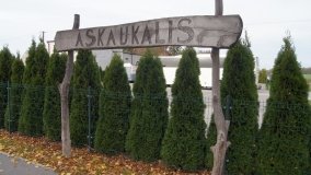 „Askaukalis” – prahistoryczne skarby w Kruszy Zamkowej - zdjęcie 4