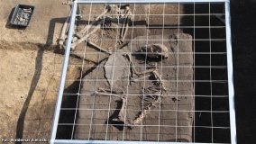 „Askaukalis” – prahistoryczne skarby w Kruszy Zamkowej - zdjęcie 6