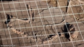 „Askaukalis” – prahistoryczne skarby w Kruszy Zamkowej - zdjęcie 7