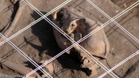 „Askaukalis” – prahistoryczne skarby w Kruszy Zamkowej - zdjęcie 8