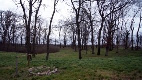 Dwór Zdziechowskich w Słaboszewku. Miejsce spotkań wybitnych postaci  kultury i nauki - zdjęcie 4