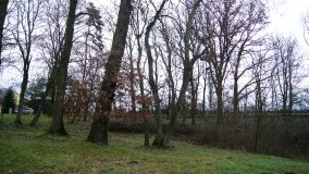 Dwór Zdziechowskich w Słaboszewku. Miejsce spotkań wybitnych postaci  kultury i nauki - zdjęcie 7