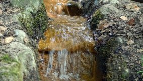 Źródełko św. Huberta, które nigdy nie zamarza - zdjęcie 3