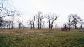 Dwór Złotnickich w Chraplewie - zdjęcie 4