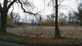 Dwór Złotnickich w Chraplewie - zdjęcie 3