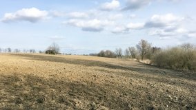 Schrony bojowe pod Mogilnem - zdjęcie 11