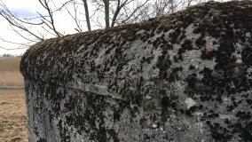 Schrony bojowe pod Mogilnem - zdjęcie 9