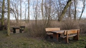 Sekrety rezydencji Tytusa Skarbek Malczewskiego w Młodocinie - zdjęcie 6