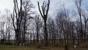 Sekrety rezydencji Tytusa Skarbek Malczewskiego w Młodocinie - zdjęcie 11