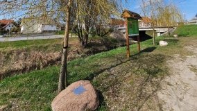 Ścieżka dydaktyczna nad „Morasiem” w Skokach - zdjęcie 2