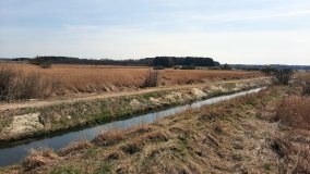 Ścieżka dydaktyczna nad „Morasiem” w Skokach - zdjęcie 4