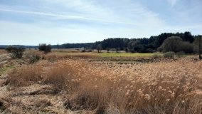 Ścieżka dydaktyczna nad „Morasiem” w Skokach - zdjęcie 6