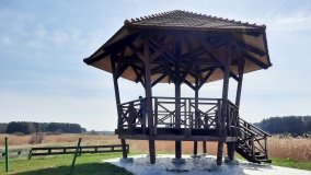 Ścieżka dydaktyczna nad „Morasiem” w Skokach - zdjęcie 7