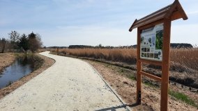 Ścieżka dydaktyczna nad „Morasiem” w Skokach - zdjęcie 9