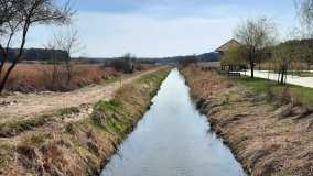 Ścieżka dydaktyczna nad „Morasiem” w Skokach - zdjęcie 11