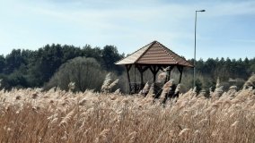 Ścieżka dydaktyczna nad „Morasiem” w Skokach - zdjęcie 12