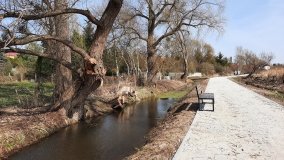 Ścieżka dydaktyczna nad „Morasiem” w Skokach - zdjęcie 13