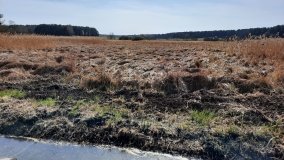 Ścieżka dydaktyczna nad „Morasiem” w Skokach - zdjęcie 14