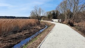 Ścieżka dydaktyczna nad „Morasiem” w Skokach - zdjęcie 15