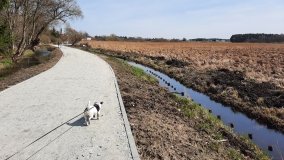 Ścieżka dydaktyczna nad „Morasiem” w Skokach - zdjęcie 17