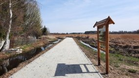 Ścieżka dydaktyczna nad „Morasiem” w Skokach - zdjęcie 18