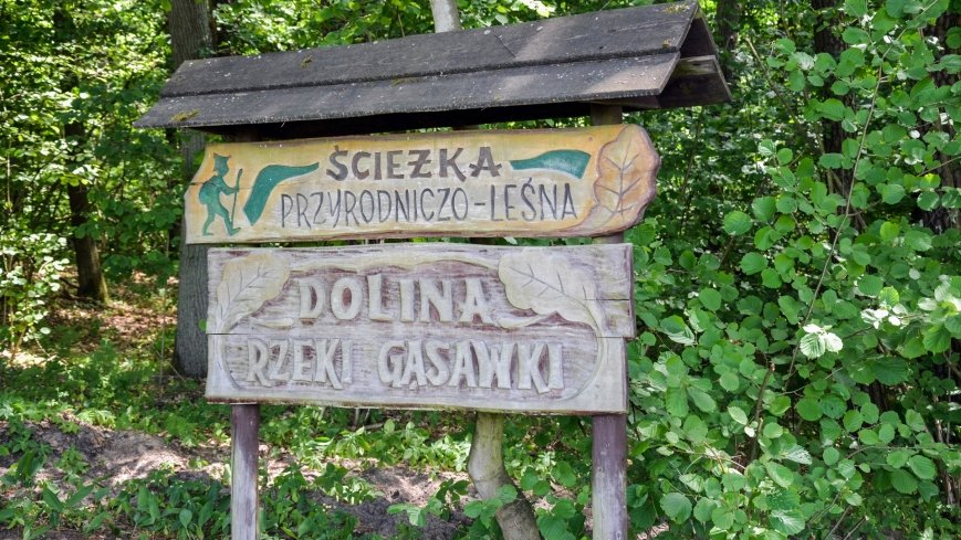 Zielona ścieżka, która da ukojenie! - zdjęcie 1