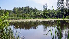 Zielona ścieżka, która da ukojenie! - zdjęcie 3