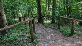 Zielona ścieżka, która da ukojenie! - zdjęcie 4