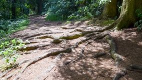 Zielona ścieżka, która da ukojenie! - zdjęcie 7