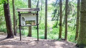 Zielona ścieżka, która da ukojenie! - zdjęcie 8