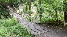 Zielona ścieżka, która da ukojenie! - zdjęcie 13