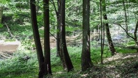 Zielona ścieżka, która da ukojenie! - zdjęcie 15