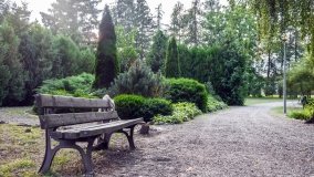 Kościół z ogrodem plebańskim w Szczepanowie - zdjęcie 3